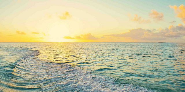 Exclusive sunset cocktail on speedboat black river (9)